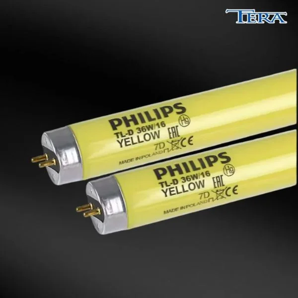 Đèn diệt khuẩn philips