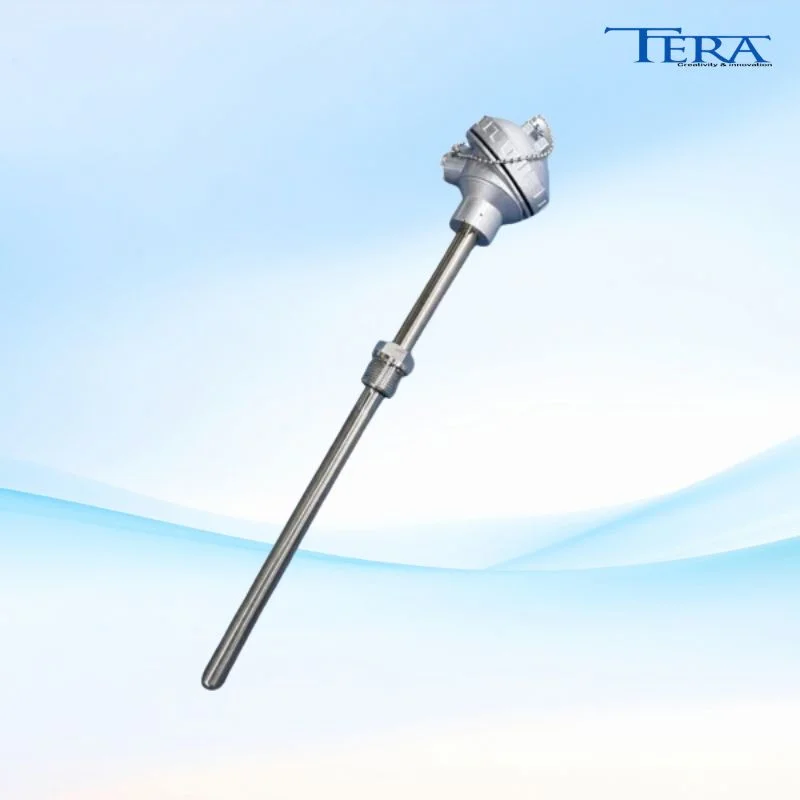 Đầu dò PT100 củ hành