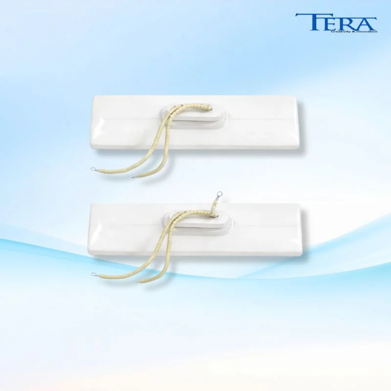 Điện trở sứ máng